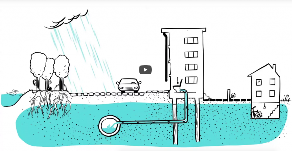 VIDEO: Water in je wijk?